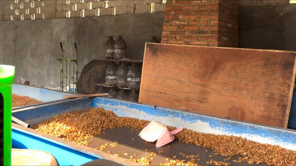 Profil Perusahaan Mantab Jaya: UMKM Krupuk yang Berkembang Pesat